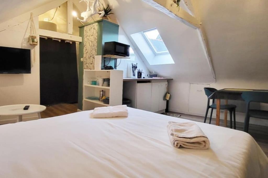 La - Petit Mansarde - 50m - Rue Gratuite Appartement Saint-Malo